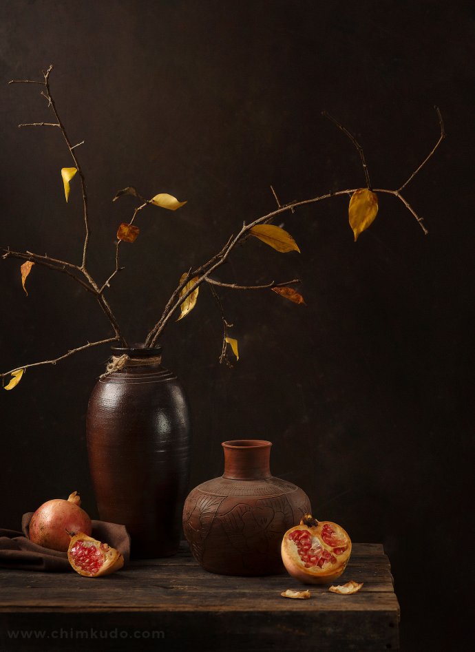 Still Life Fine Art Photography Chimkudo