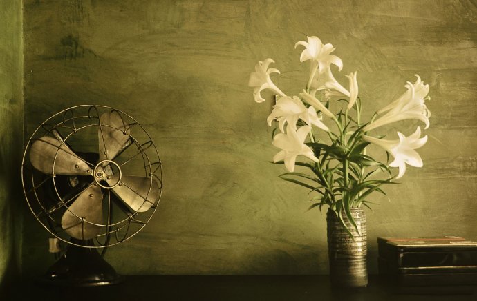 Still Life Fine Art Photography Chimkudo