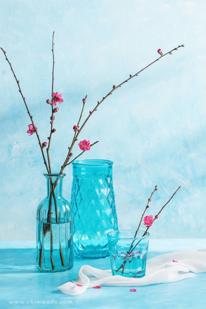 Still Life Fine Art Photography Chimkudo