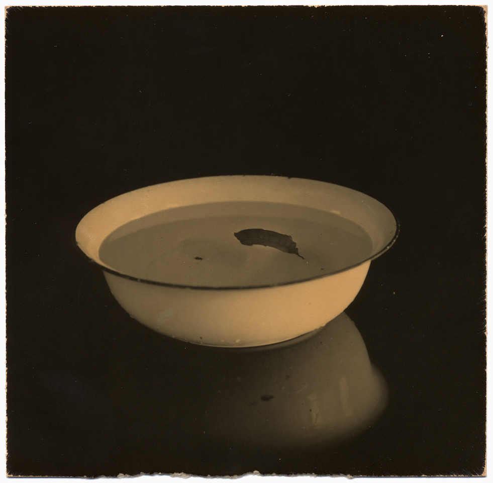 Yamamoto Masao abstract beauty